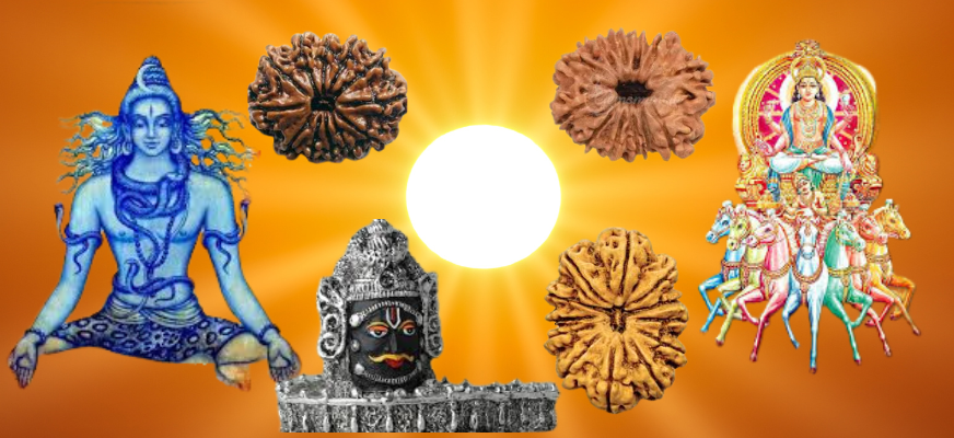 12 mukhi